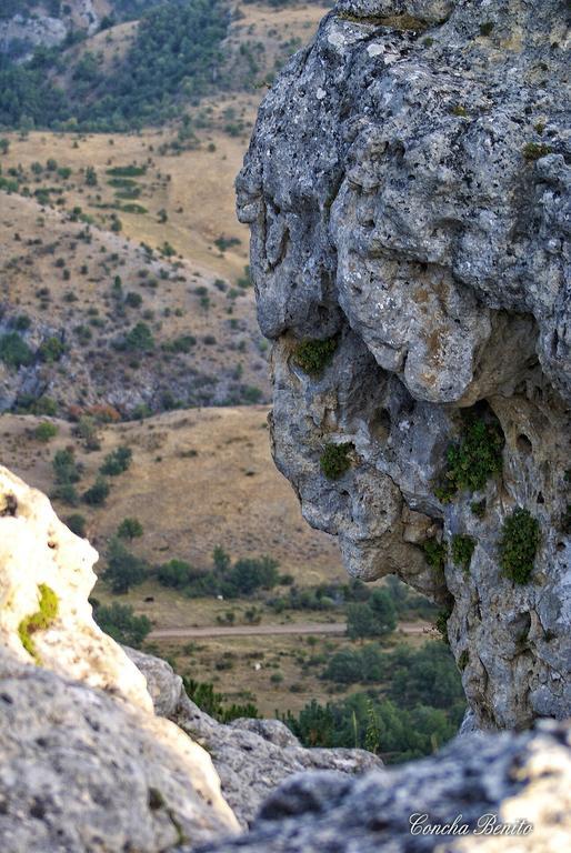 Fuente Del Arca Daire Cañamares Dış mekan fotoğraf